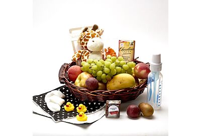 Baby gift basket with fresh fruit, plush giraffe, baby bottle and parent treats for Metro Denver delivery