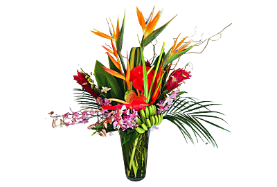 Tropical showstopper arrangement 5280flowers