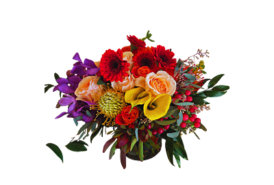 Admin Pro Flower Delivery Metro Denver