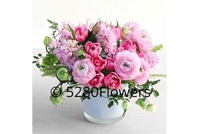 Spring Arrangements