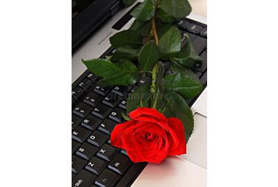 take roses home before weekend