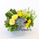 Happy green and yellow Flowers with Succulents