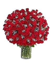 100 Long stem Red Roses 