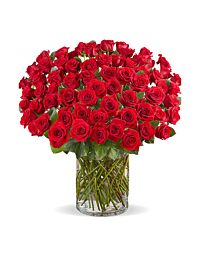 100 Rose arrangement Denver Delivery