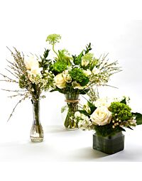 White Market Arrangement – Elegant White Flowers for Sympathy or Everyday | 5280Flowers