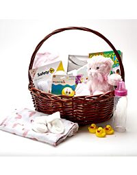 Newborn Baby Everything Gift basket