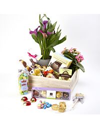 Large Easter Family Crate with Local Chocolate and plants or Flowers
