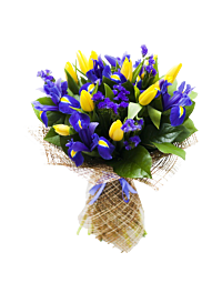 handtied yellow tulips and blue iris