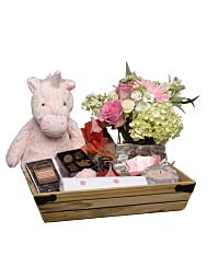 large Newborn Baby girl gift crate 