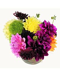 Locally grown Colorado dahlia arrangement for Denver delivery