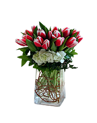 Denver Tulip and Hydrangea Delivery