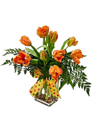 Denver Delivery Parrot Tulips
