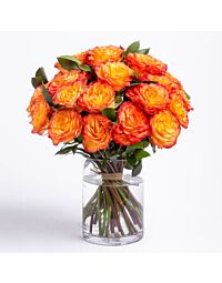 Sunset Rose arrangement denver Delivery