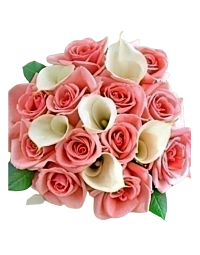 Calla and Pink Roses Denver Delivery