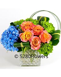 Summer Sunset Blues Flowers with Hydrangea