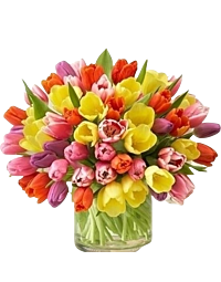 Pastel Tulip Arrangement