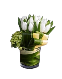 Denver Tulip arrangement delivery