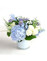 Denver delivery White and blue arrangement