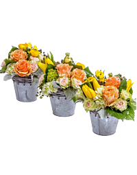 Spring trio arrangement