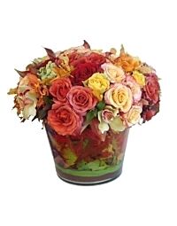 Denver Fall Roses