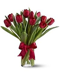 Red Tulips