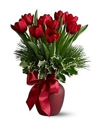 Christmas Tulips