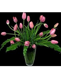 Pink French Tulips with willow and greens
