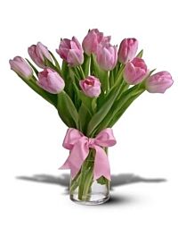 Tulip Special, market color