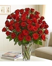 4 dozen longstem red