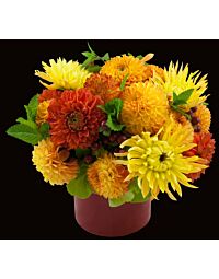 Summer Dahlia arrangement