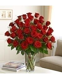 Denver 3 dozen rose arrangement