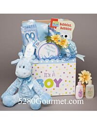 Denver Baby Boy Basket