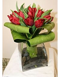 Tulips with leaves
