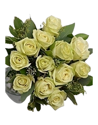 Green Rose arrangement for Denver Delivery 