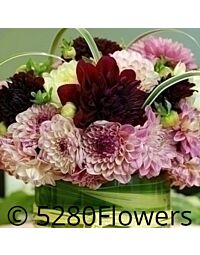 Local Dahlia Arrangement