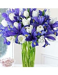 Blue and white flowers.