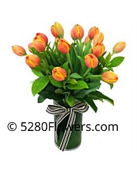 Fall Tulips