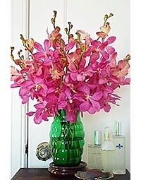 Pink Mokara arrangement