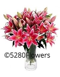 Pink Lily Arrangement LOCAL