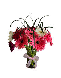 Pink Gerbera arrangement