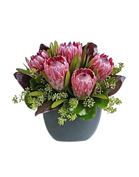 Protea Arrangement Denver Delivery