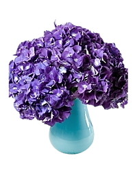 Purple Hydrangea arrangement * (PREORDER 1 Week)