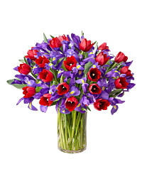 Red tulips and blue iris