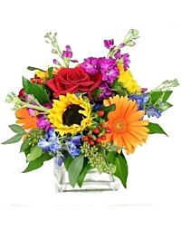 Summer Flower Cube Same Day Delivery