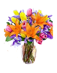Springtime Fragrant arrangement denver delivery