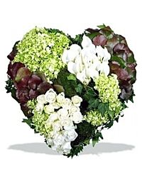 Sympathy Heart