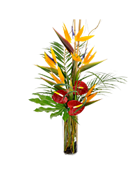 Tall Tropical bouquet Flower arrangement denver delivery tall