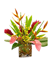 Tropical Flower arrangement Denver delivery