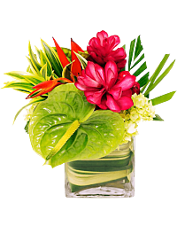 Tropical Center piece