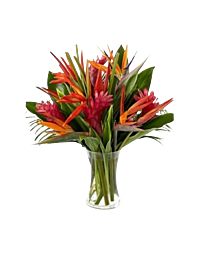Tropical bouquet Flower arrangement denver delivery